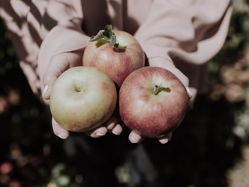 Revolution of the fruit market - Smart Fridge